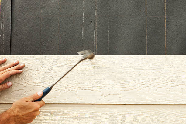 Best Vinyl Siding Installation  in Sumner, IL